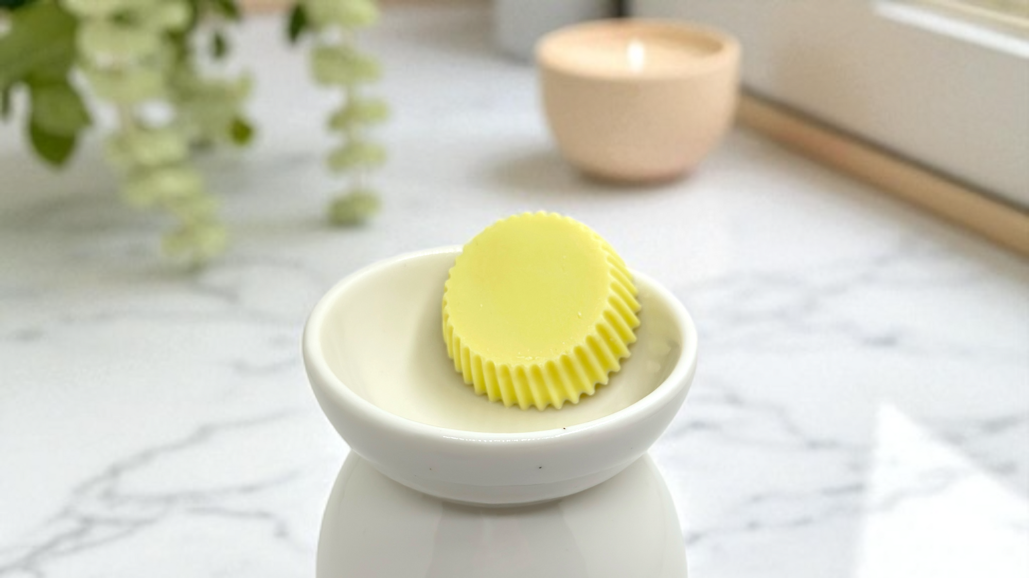 Fondant galet | Citronnelle